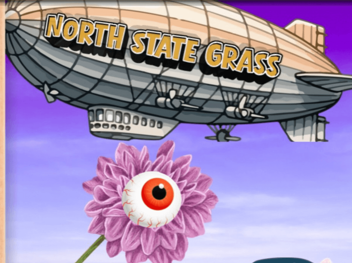 North State Grass Billy After Party