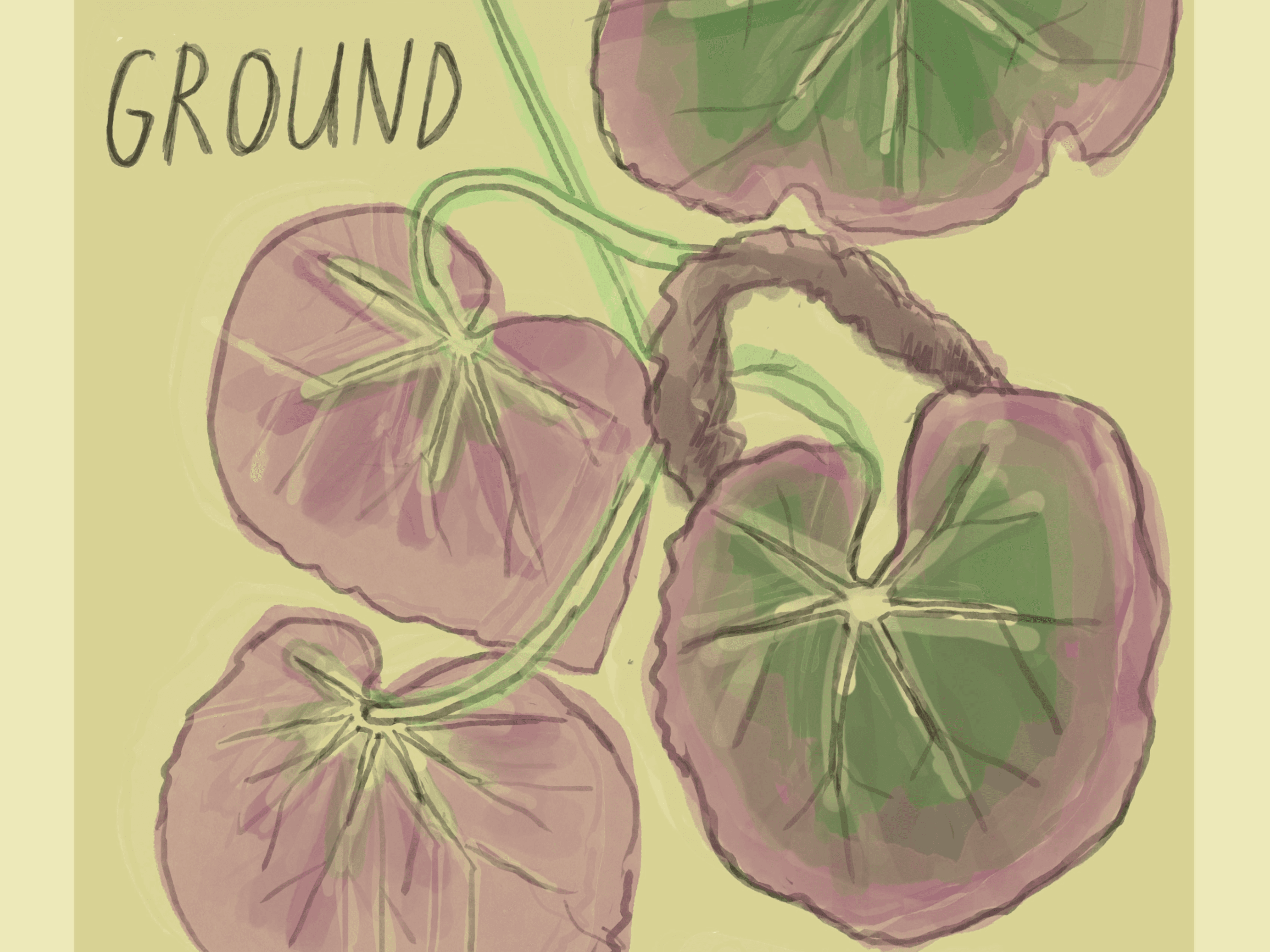 Ground Sound: Experimental Music Series