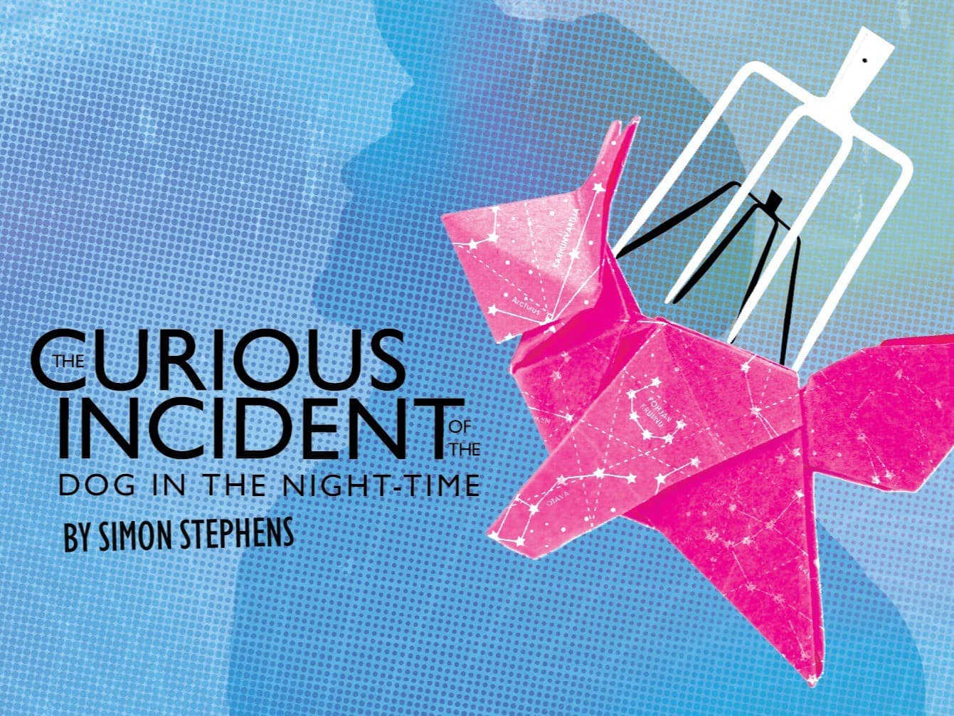 The Curious Incident of the Dog in the Night-Time