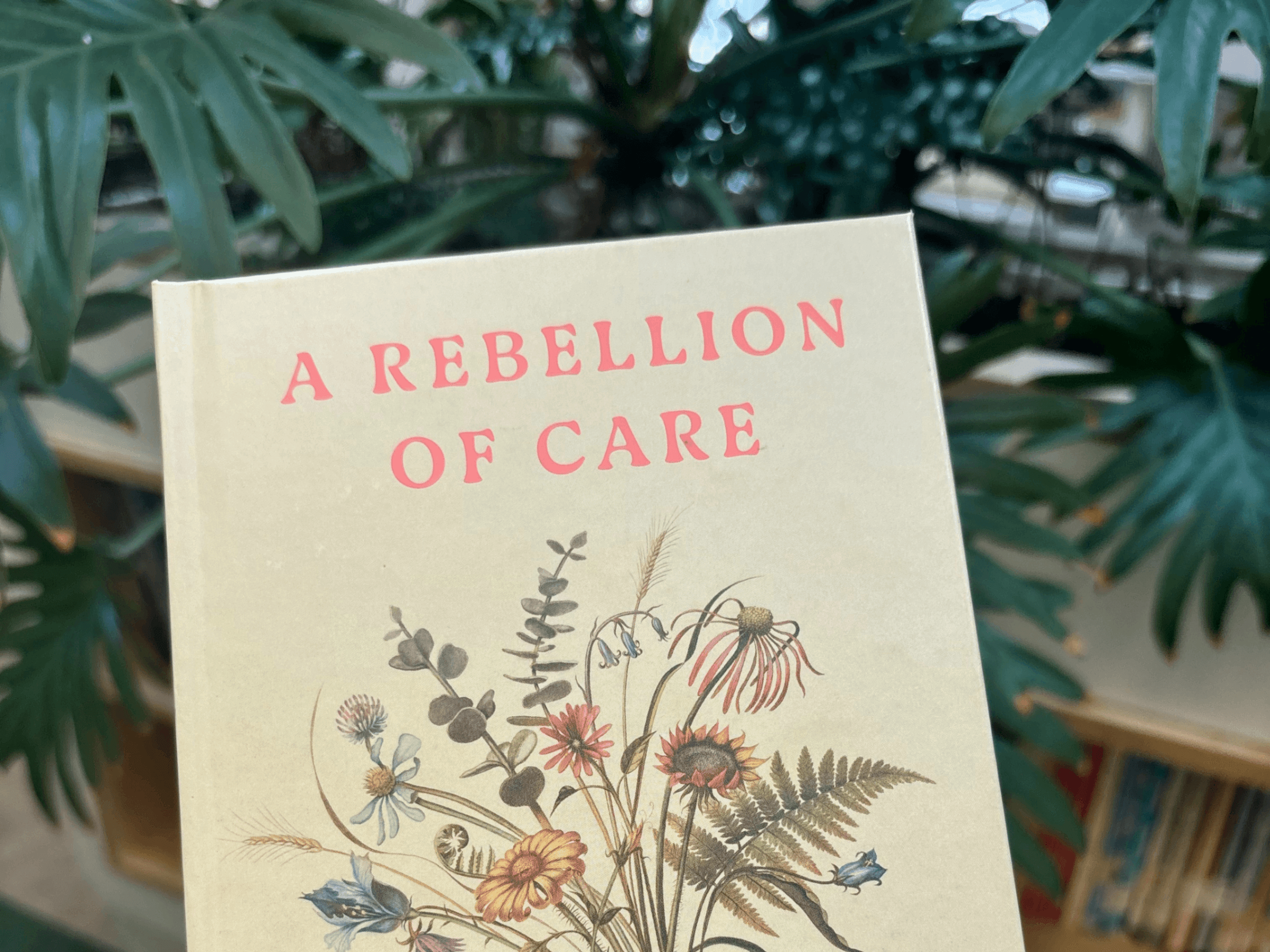 Summer Book Club: A Rebellion of Care