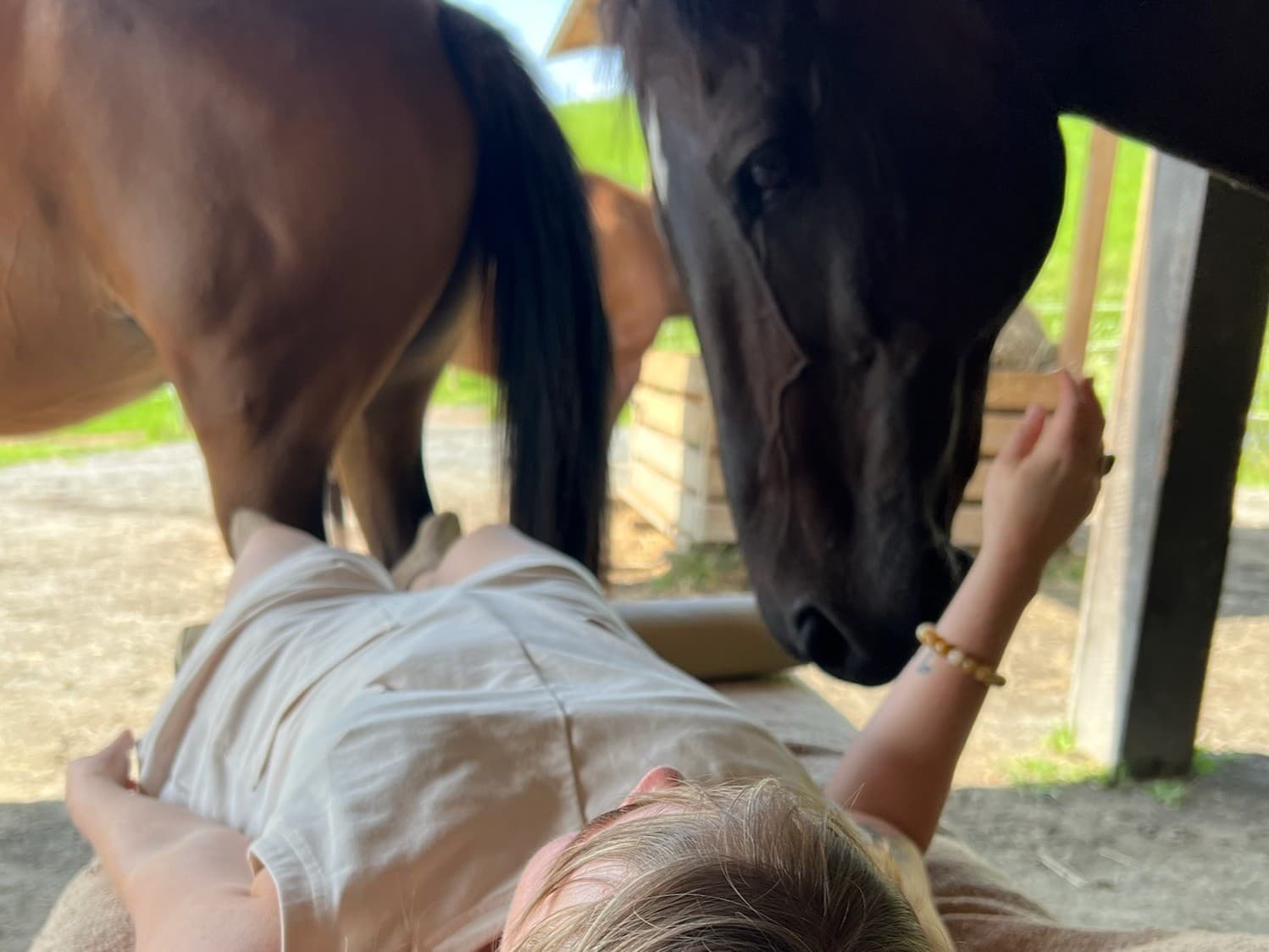 Spiritual Healing with Horses