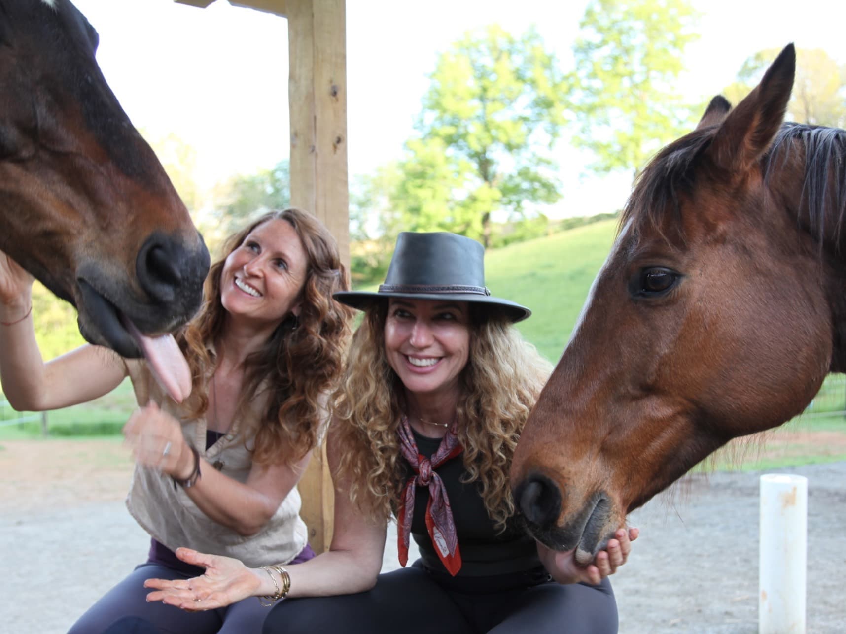 3 Day Self-Connection Through Equine Wisdom Workshop