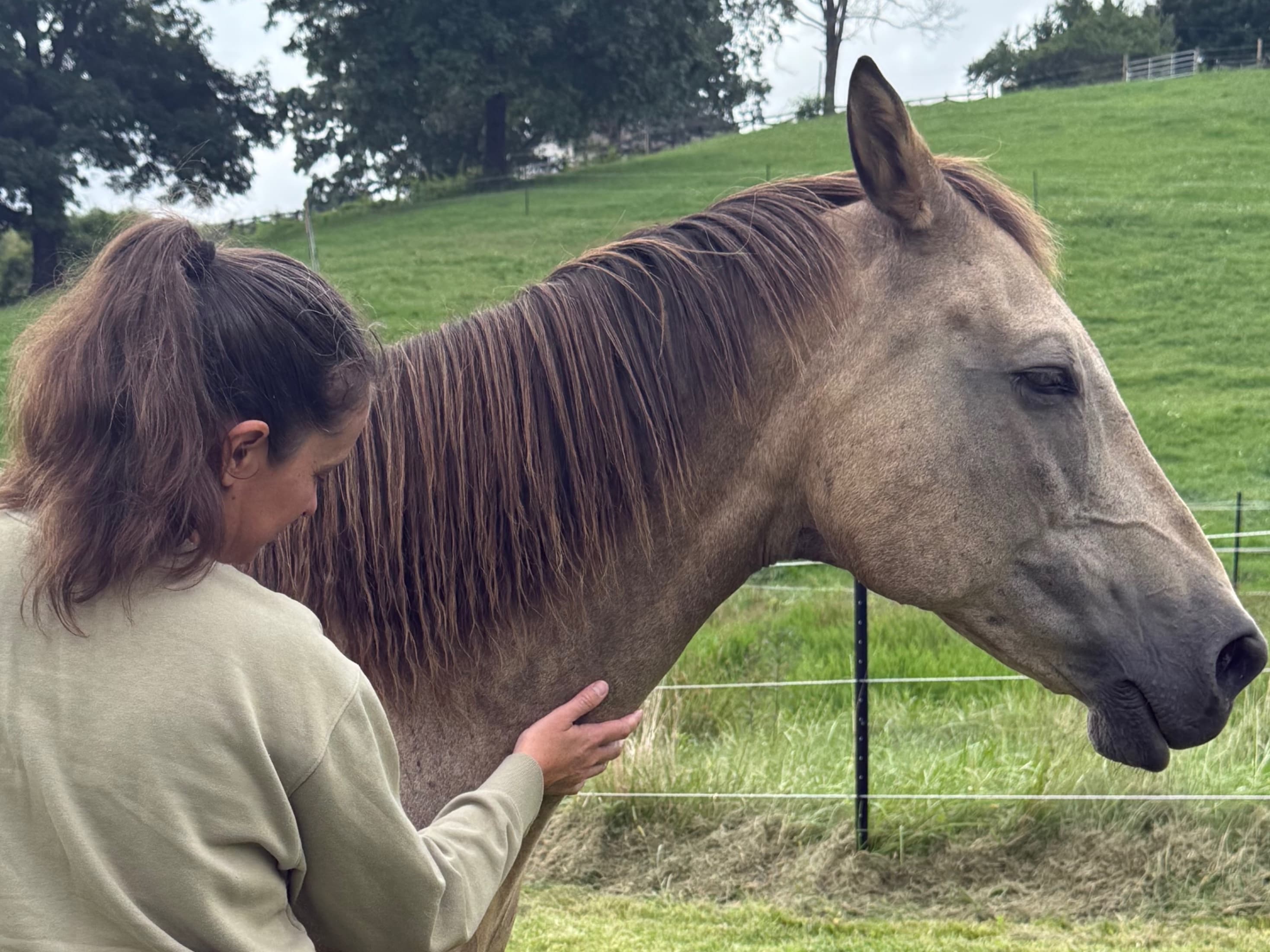 Meditation with Horses