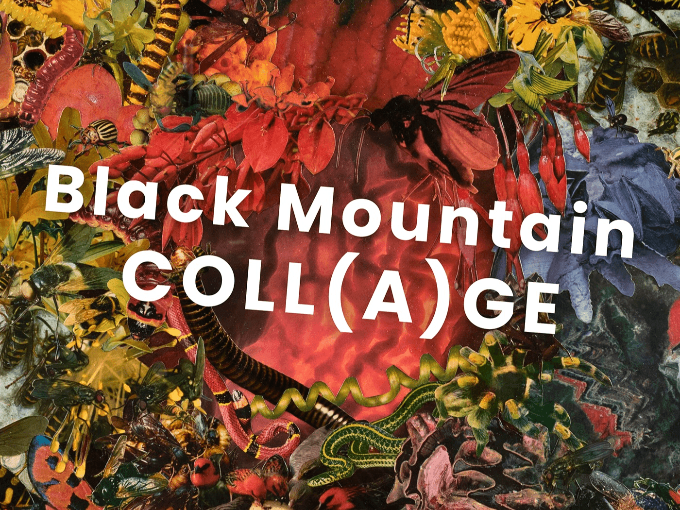 Black Mountain COLL(A)GE