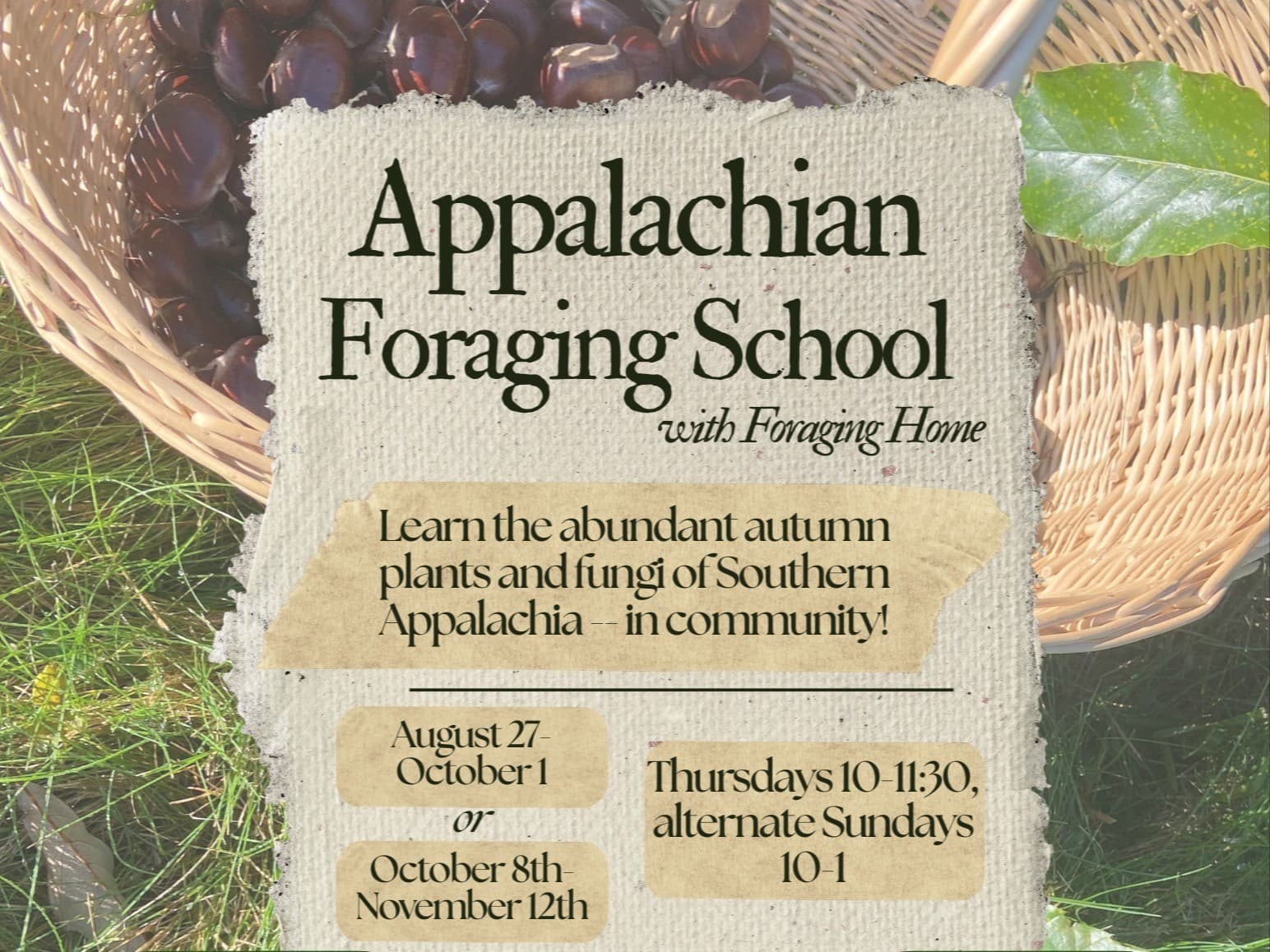 Appalachian Foraging School