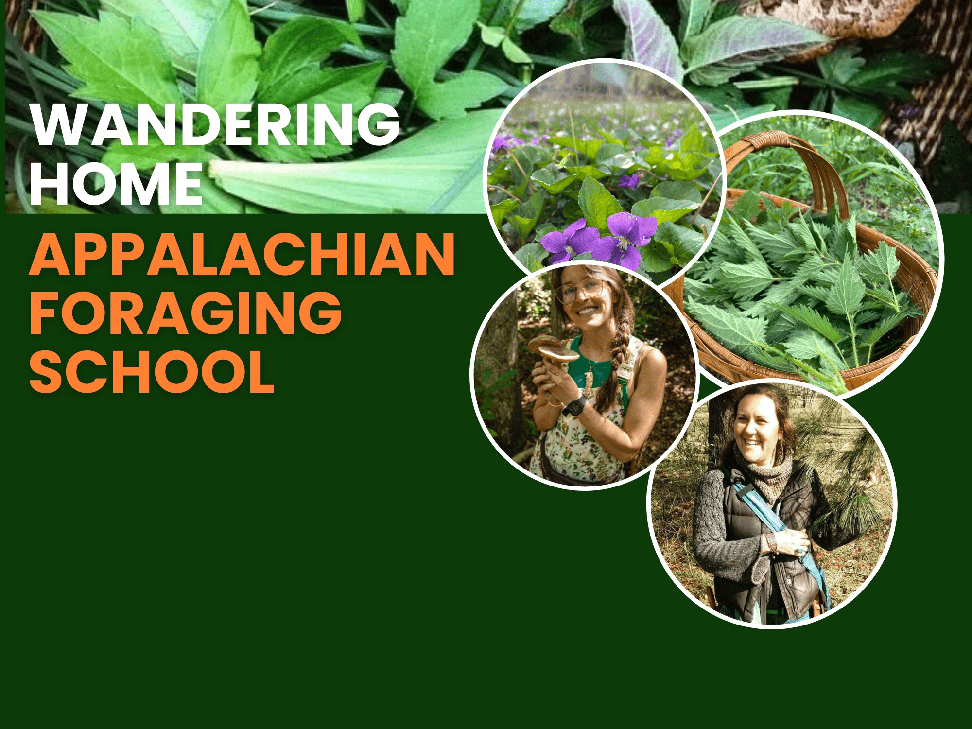Wandering Home: Appalachian Foraging School