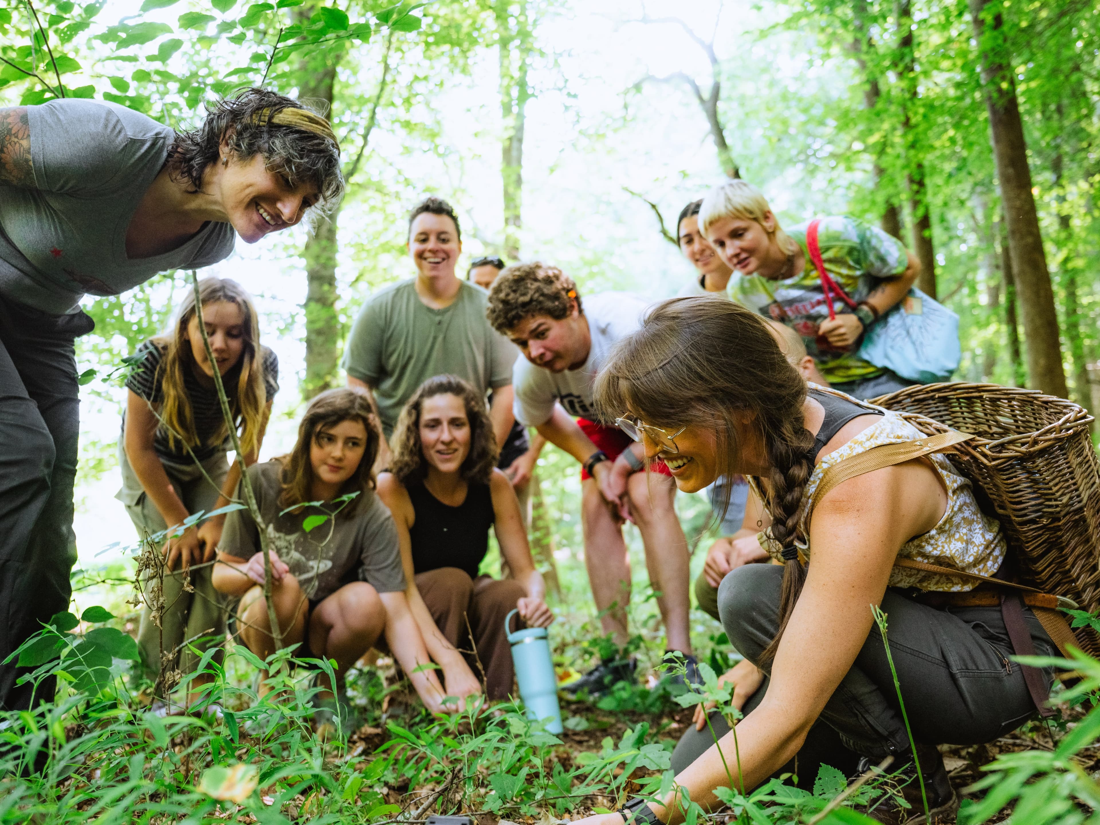 Wild Food Community Walks