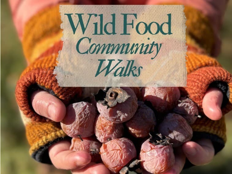 Wild Food Community Walks