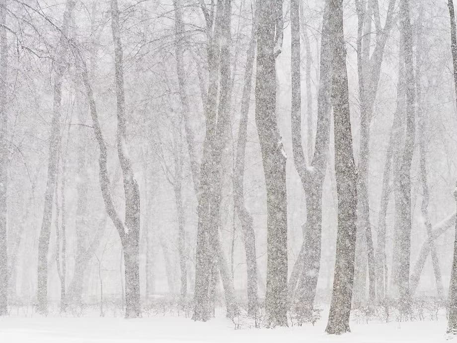 Sound and Silence: A Day Honoring Dark and Light