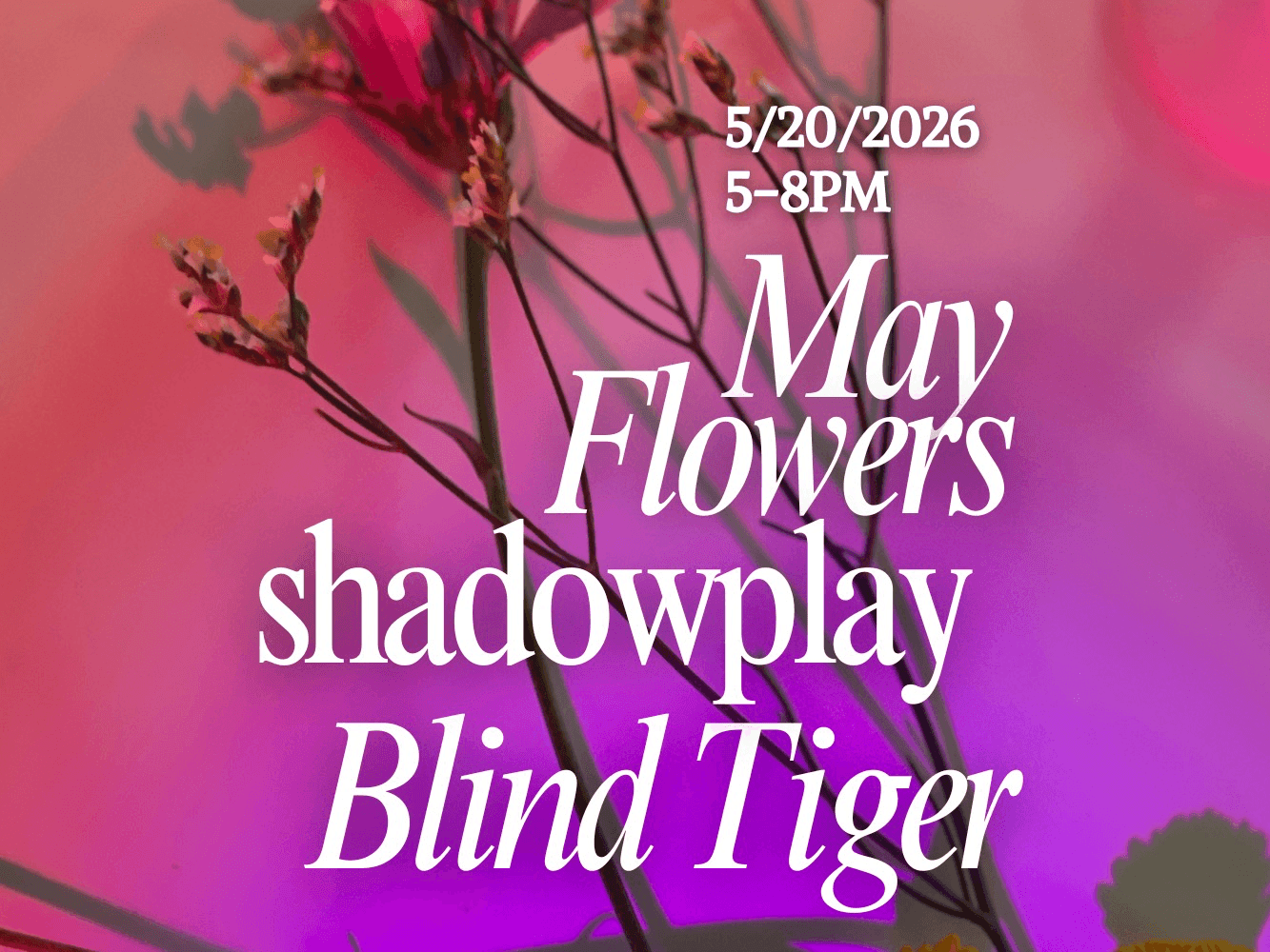 May Flowers ShadowPlay Blind Tiger Hotel