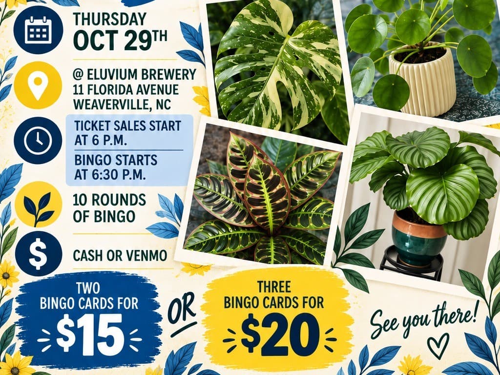 Plantingo