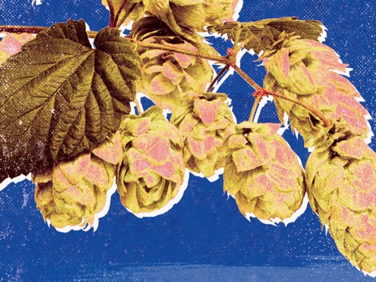 Asheville Symphony: ALT ASO @ Highland Brewing - Jazz & Pop
