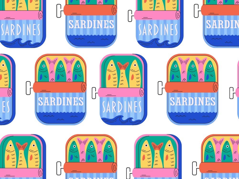 End of Sardine Summer Party