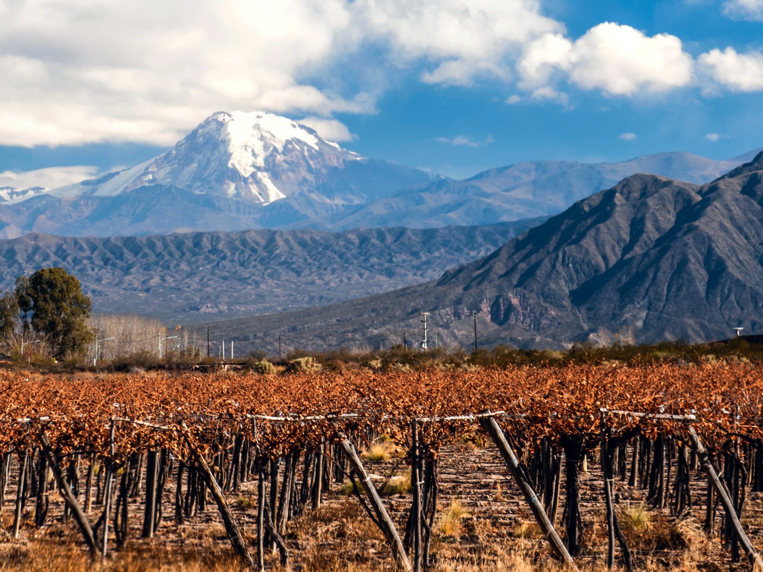 South American Asado Wine Dinner