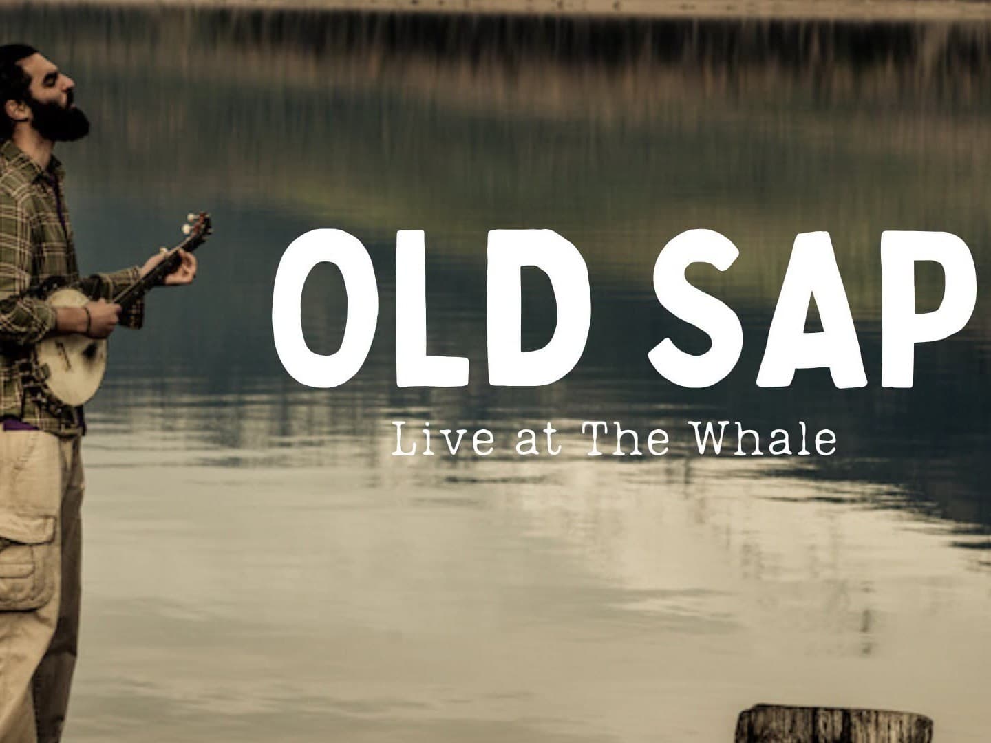 Live Music: Old Sap