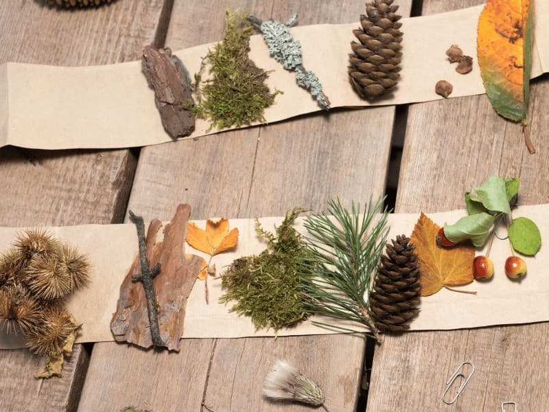 Healing-Arts Workshop: The Art of Letting Go + Miniature Diorama Making