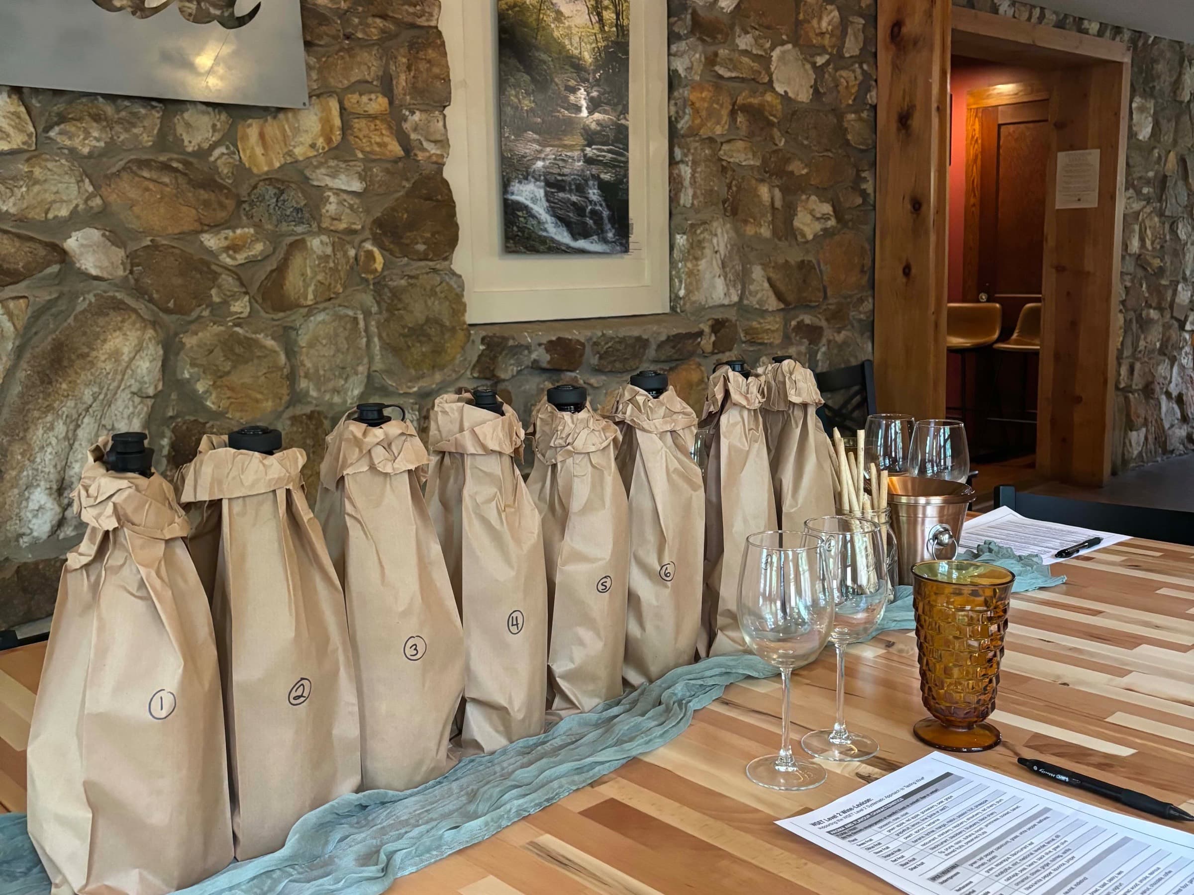 Blind Wine Tasting ("Level 2")