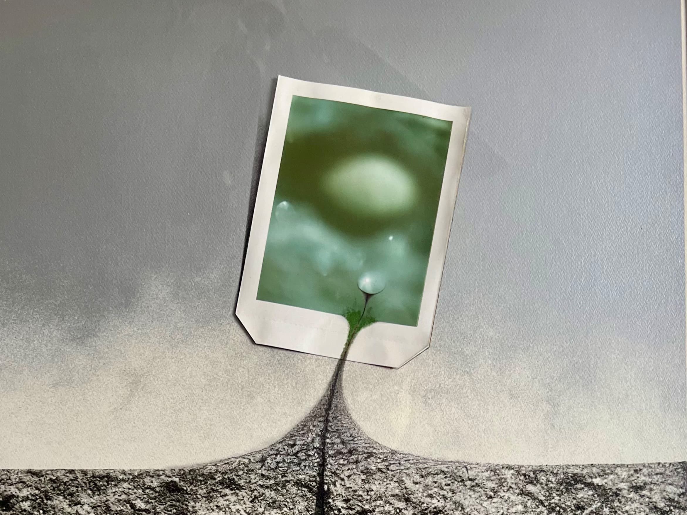 Evon Streetman: Reflections