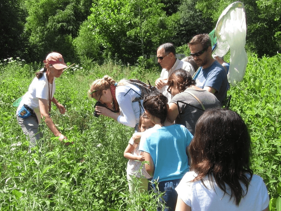 C.P.A. Series - Pollinator Safari with Florrie Funk (Sunday Session)