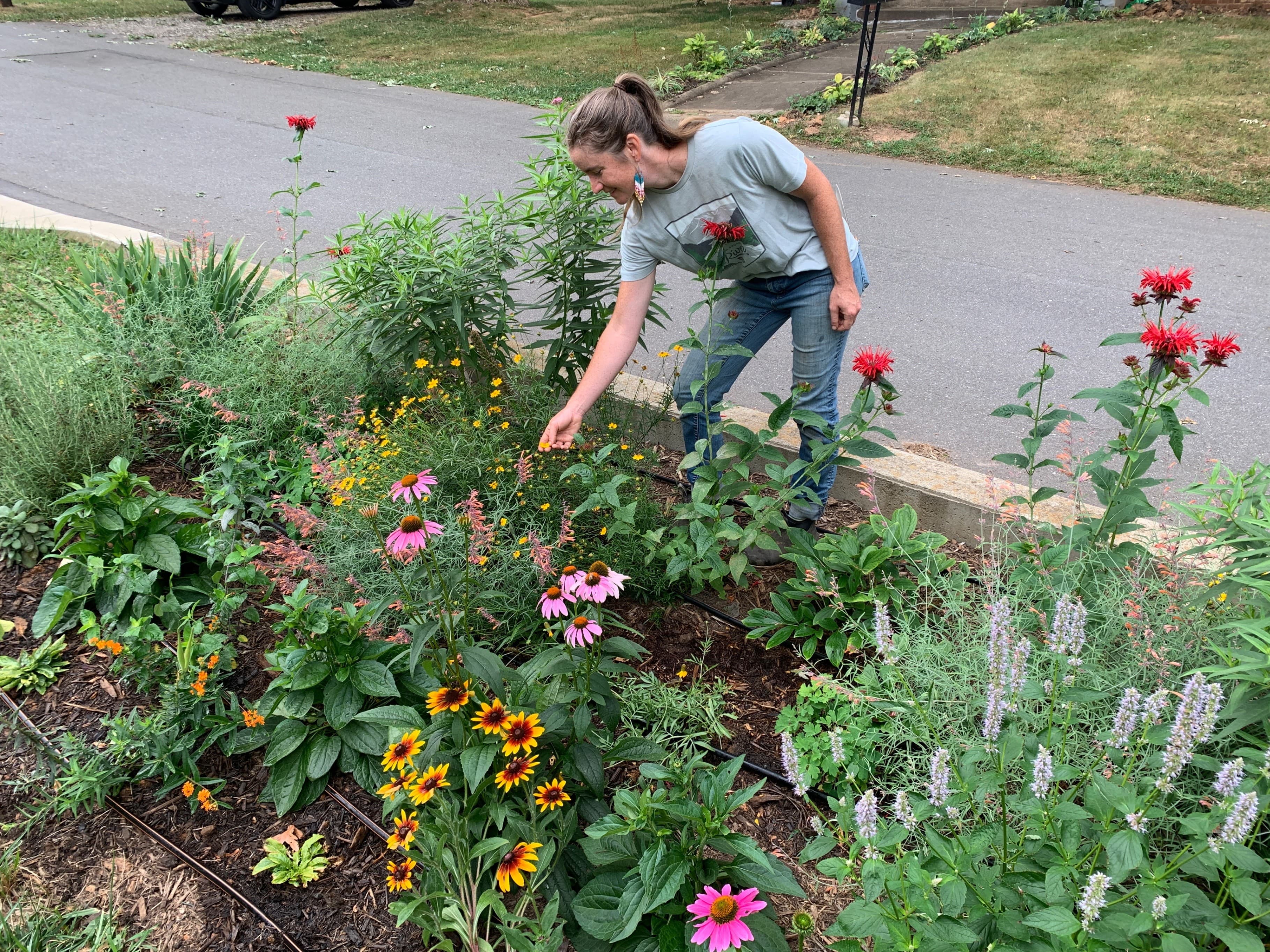 Native Cut Flower Gardens: Grow, Harvest, and Arrange with Leonora Stefanile