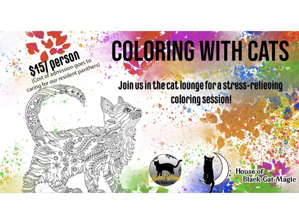 Coloring with Cats: Teens & Adults