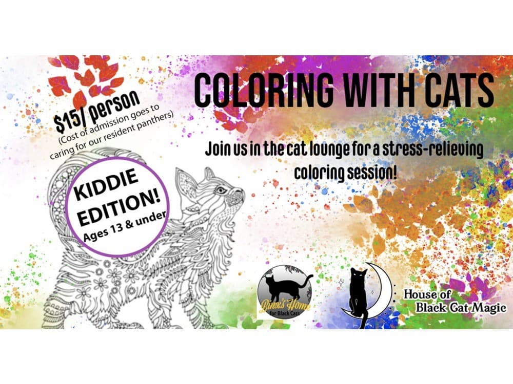 Coloring with Cats: KIDDIE EDITION