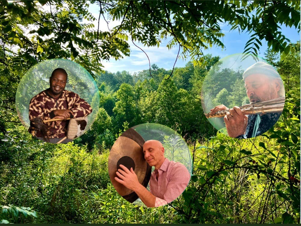 The Forest Dwellers
