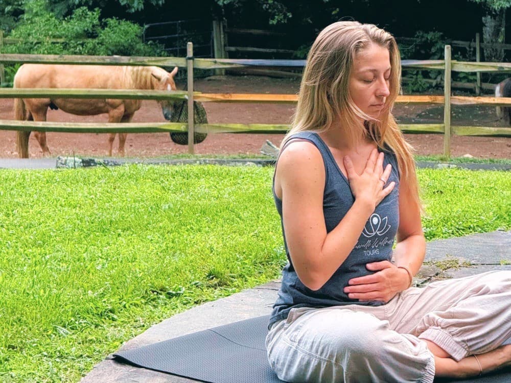 Sunset Horse Yoga with Singing Bowls