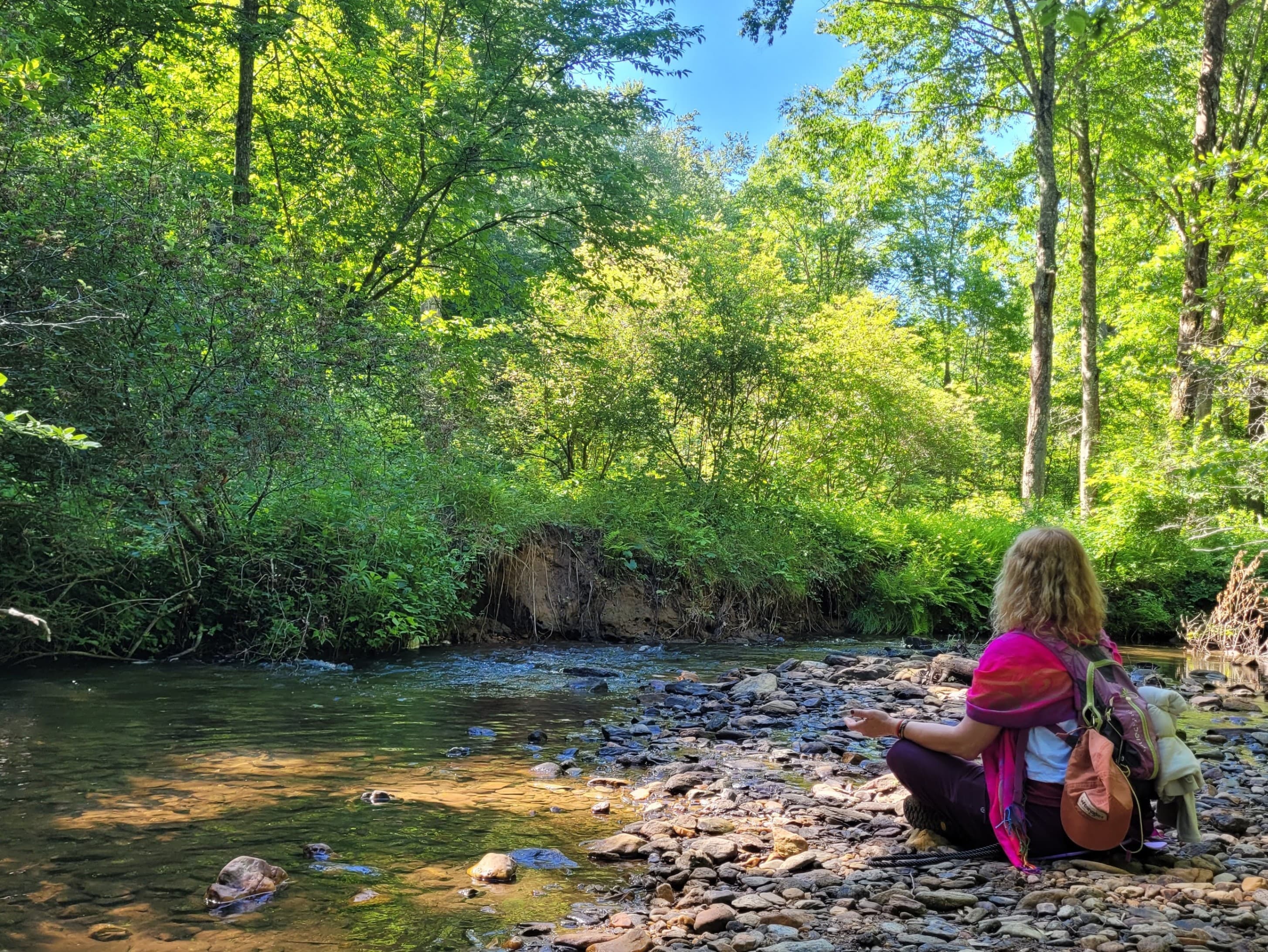 Forest Bathing in the Blue Ridge Mountains