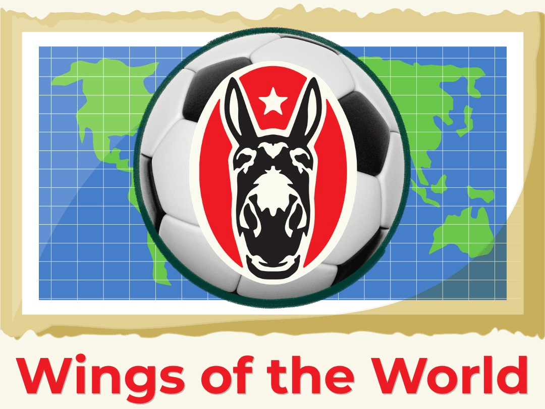 Wings of the World at Salt Face Mule