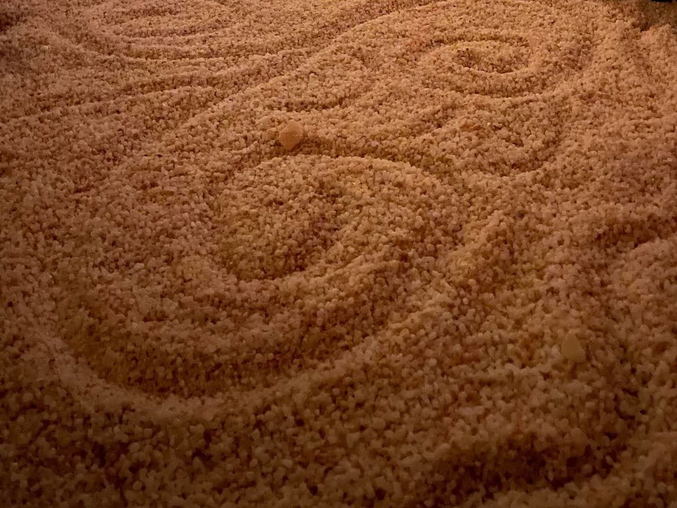 Golden Hour Yoga + Private Salt Cave