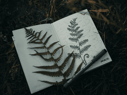 Interplay: Mindfulness, Creativity, and Community