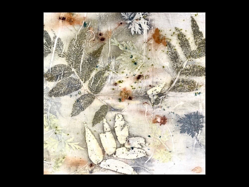 Intro to Eco Printing on Paper and Fabric Workshop