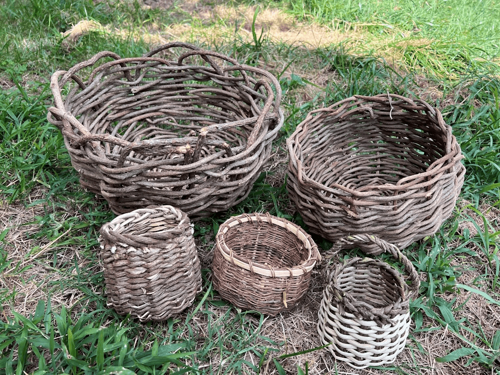Kudzu Basket Workshop