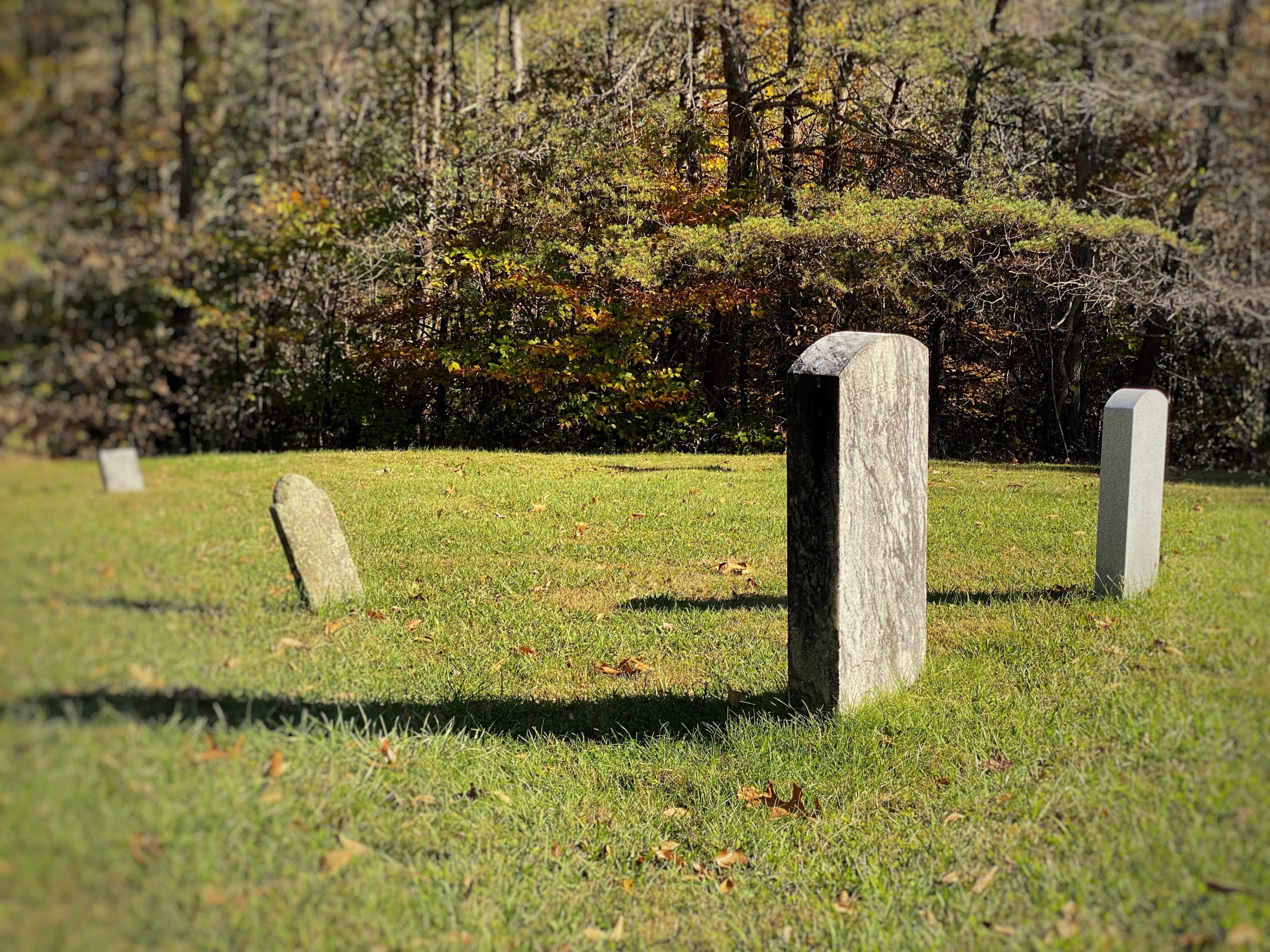 Death and Mourning in the Mountains: A Special Guided Tour at Vance Birthplace