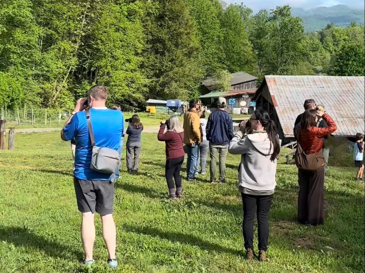 September Fall Migration Birding