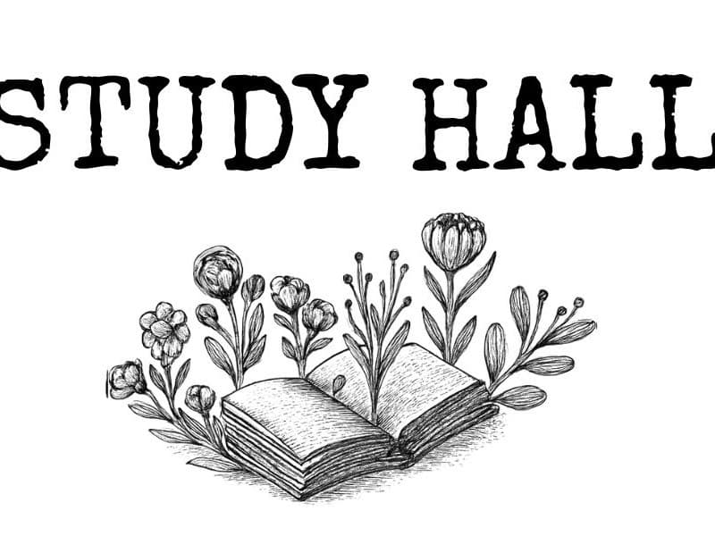 Study Hall - Flying Squirrels w/ Elaine Bailey Anderson of Appalachian Wildlife