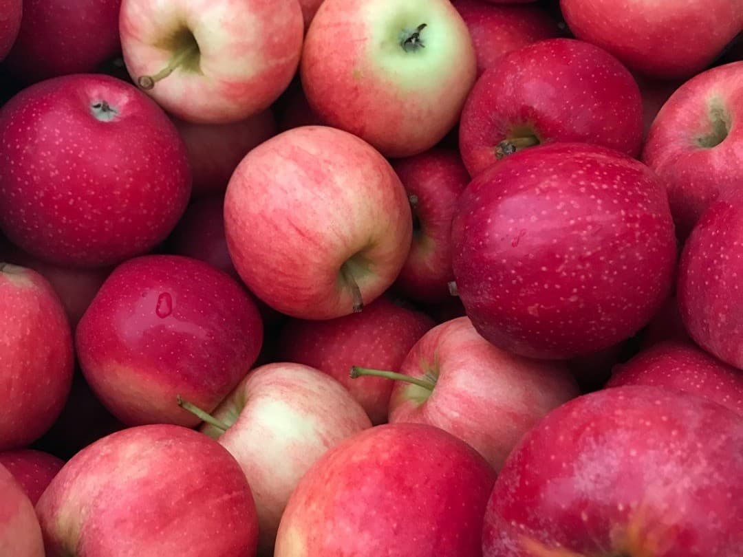 NC Cider Fest 2026 Asheville