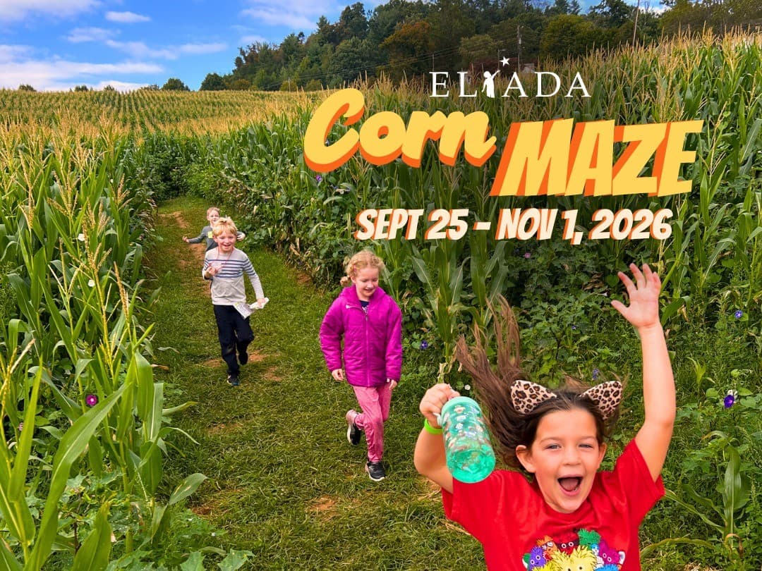 Eliada Corn Maze and Festival