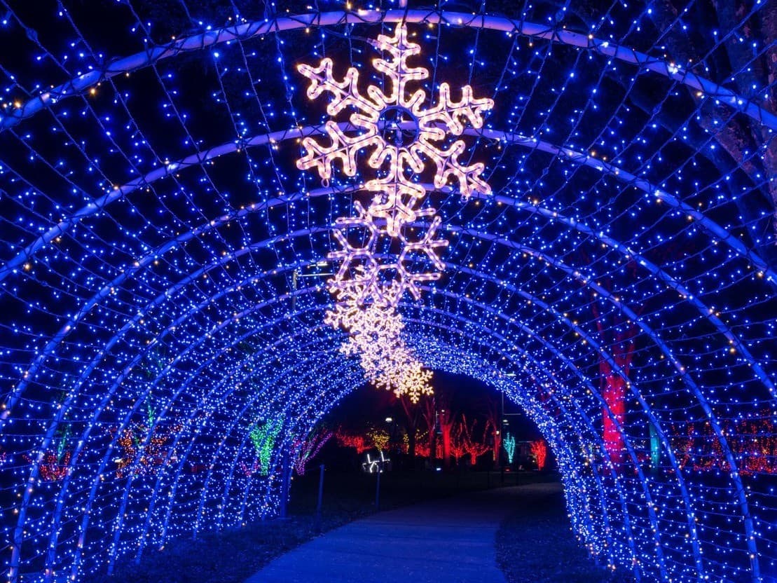 Winter Lights at the North Carolina Arboretum