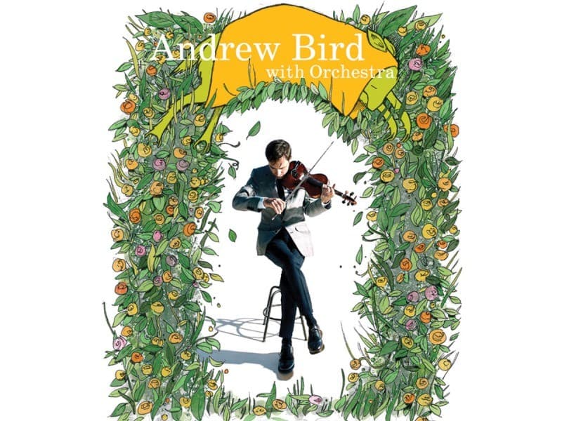 Andrew Bird with the Asheville Symphony