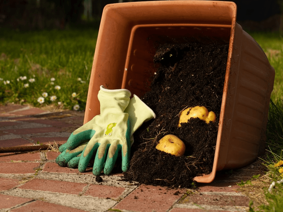 Composting 101
