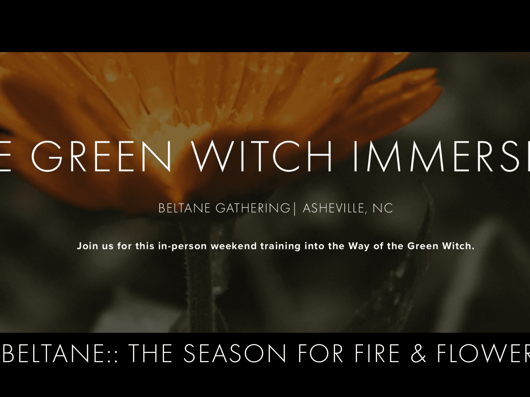 Green Witch Immersion