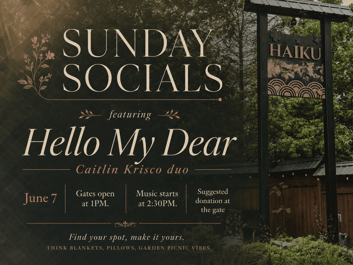 Sunday Socials