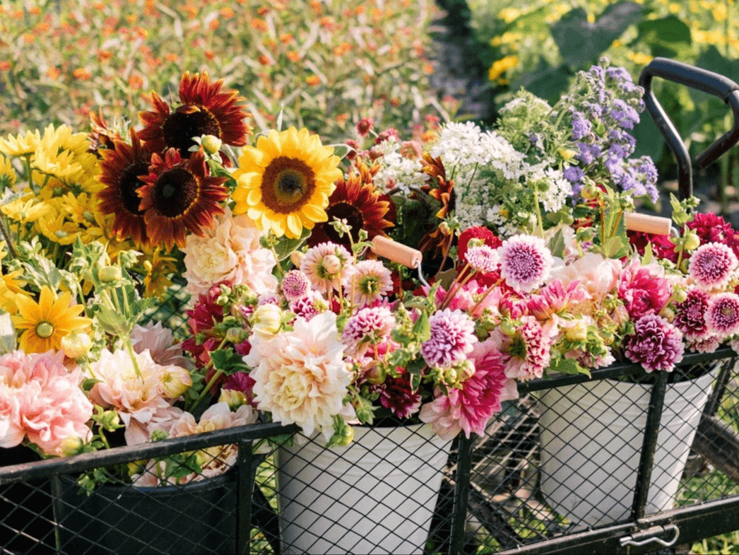 Flower Farm Workshops