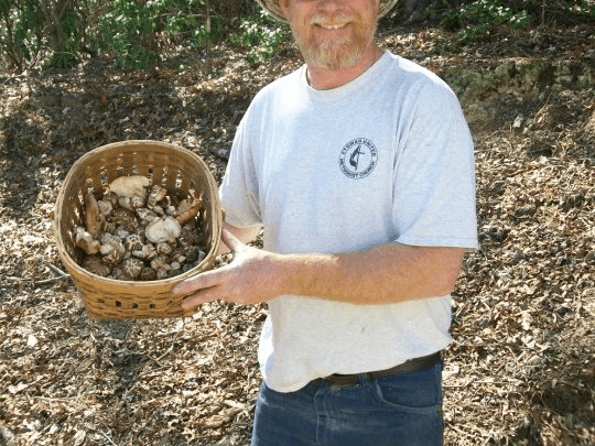 Deep Woods Mushroom Farm Tour