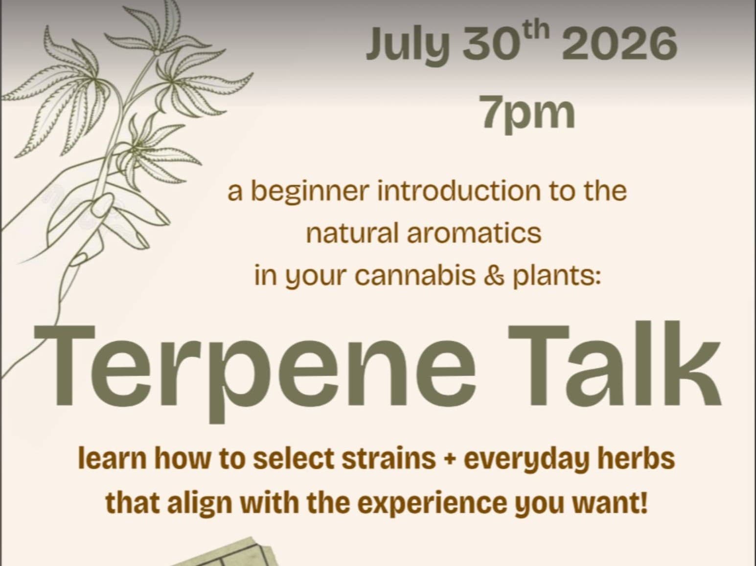 Terpene Talk: A Beginner's Guide to Aromatics in Cannabis & Plants Curious about