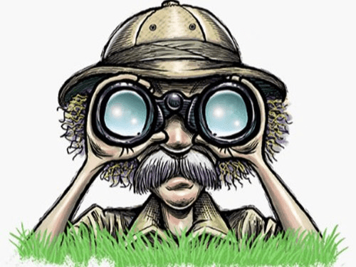 Weaverville Art Safari