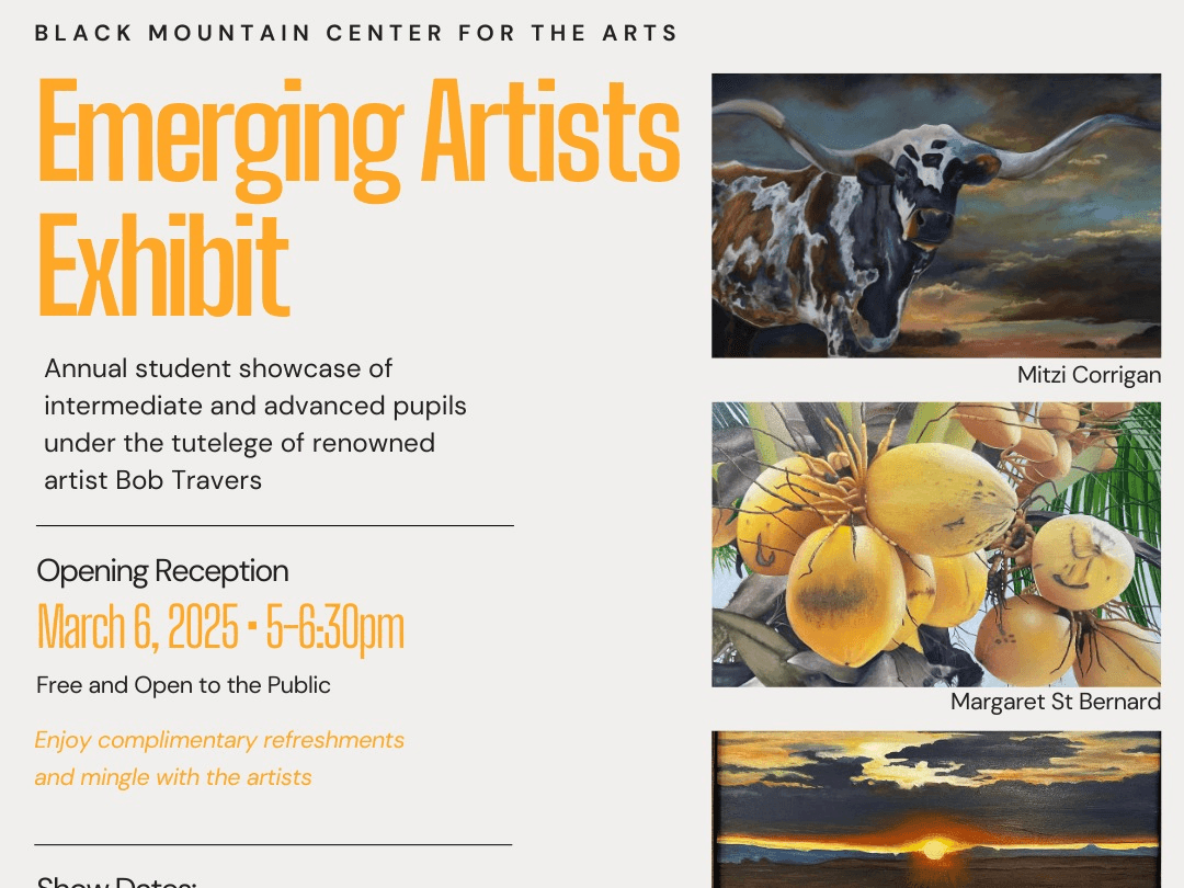 "Emerging Artists" Gallery Exhibit | Adult Student Art in Black Mountain