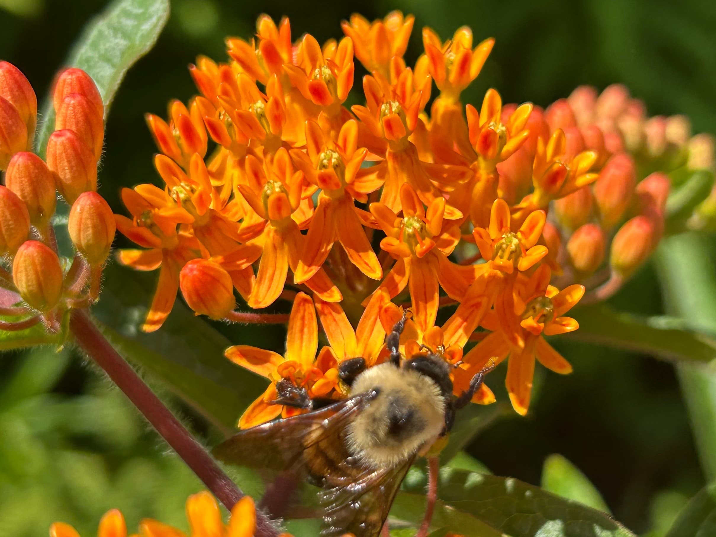 Learning Garden Tours